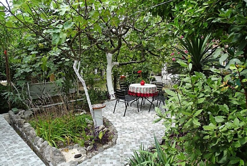 P4311 photo
