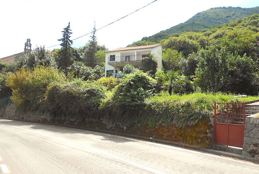 P4358 photo